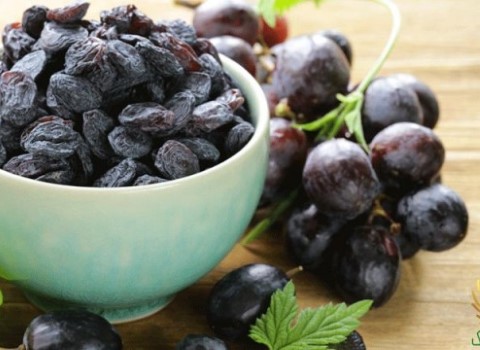 مویز انگور شاهانی با کیفیت عالی و طعم بی نظیر